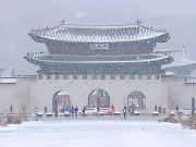 جنوبی کوریا میں برفباری کا ریکارڈ ٹوٹ گیا؛ 2 ہلاکتیں اور 200 پروازیں معطل 