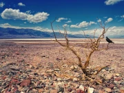 پوری دنیا خشک سالی کے دہانے پر