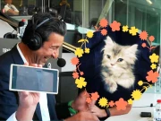 وسیم اکرم کا بالتو بلی کے ٹریٹمنٹ پر لاکھوں روپے خرچ کرنے کا انکشاف