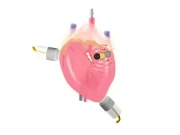 نئی قسم کی بائیو ڈیگریڈ ایبل بیٹری ایجاد 