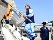 وزیراعظم ڈی 8 ممالک کی سمٹ میں شرکت کے لیے مصر روانہ