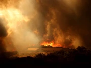 جنگلاتی آگ سے منسلک فضائی آلودگی، اموات میں اضافہ