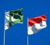 پاکستان اور انڈونیشیا کے درمیان طبی تعاون پر اتفاق