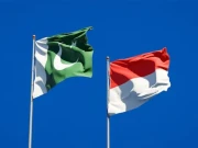 پاکستان اور انڈونیشیا کے درمیان طبی تعاون پر اتفاق