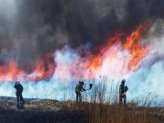 جنگلات میں آتشزدگی امریکیوں کےلیے نیا خطرہ قرار