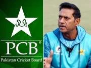 مسلسل شکستوں نے عاقب جاوید کی رخصتی کا پروانہ بھی جاری کردیا