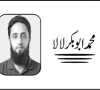 ڈگری کا بوجھ اور ہنر کی طاقت 