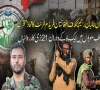 طالبان رجیم کیخلاف نیا محاذ متحرک: ایک ماہ میں 21 بڑی کارروائیاں