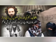 افغان رجیم کی اندرونی صفوں میں دراڑ؛ امیرِ طالبان کا کمانڈر کیخلاف آپریشن کا حکم