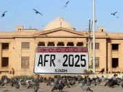اجرک والی نمبر پلیٹس کی مفت فراہمی کیلیے سندھ ہائیکورٹ میں درخواست دائر