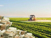 سندھ کا زرعی آمدن پر 45 فیصد ٹیکس کے فیصلے سے یوٹرن