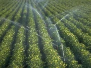 زراعت، ٹیکنالوجی اورانرجی سیکٹرکو ترجیح دی جائے، ماہرین