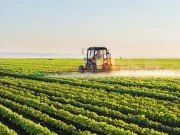 وفاقی بجٹ زراعت اور کسانوں کیلیے بے ثمر، کسان تنظیمیں