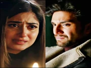 طلاق کے بعد پہلی بار ایوارڈ شو میں شرکت، احد اور سجل علی جذباتی ہوگئے