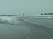 متنازع کینال منصوبے پر انوکھا احتجاج، کراچی کے نوجوان نے اے آئی گانا تیار کر ڈالا