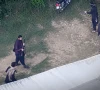 راولاکوٹ میں کالعدم ایکشن کمیٹی کے مسلح کارندوں کی فائرنگ اور حملے جاری
