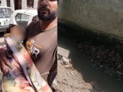 لاہور میں دیوار گرنے سے 5 سالہ بچی نالے میں ڈوب کر جاں بحق