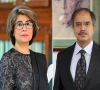آمنہ بلوچ 17 ستمبر کو ریٹائر ہوں گی، عاصم افتخار نئے سیکریٹری خارجہ مقرر