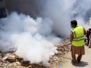 موسم کی تبدیلی کے باوجود ڈینگی کے تابڑتوڑ حملے جاری 