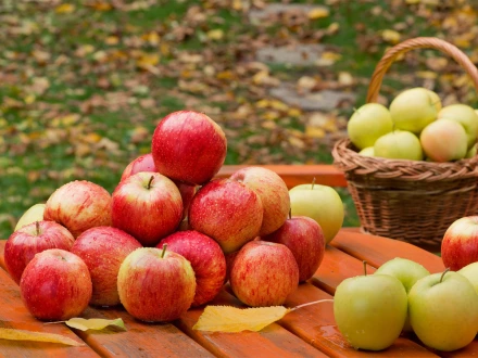 روزانہ ایک سیب کھانے کی عادت صحت کے لیے کیوں مفید ہے؟ ماہرین نے اہم فوائد بتا دیے