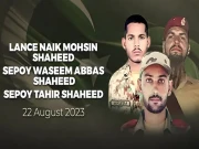 محسن منیر، وسیم عباس اور طاہر عباس شہید — مادرِ وطن کے سچے سپاہی