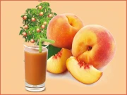 آڑو ؛ ذائقے دار اور صحت افزا پھل