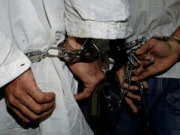 ڈولفن فورس کی کارروائی، ڈکیتی کی واردات کرنیوالے دو ڈاکو گرفتار