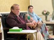 مریم نواز اور نواز شریف کیخلاف شوگر ملز انکوائری بند کرنے کی درخواست پر فیصلہ محفوظ 