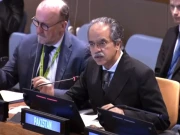 ترقی پذیر اقوام کے لیے توانائی سرمایہ کاری ناگزیر ہے، پاکستانی مندوب