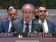 پاکستان کا اقوام متحدہ کی سلامتی کونسل سے مسئلہ جموں و کشمیر پر مؤثر اقدام کا مطالبہ