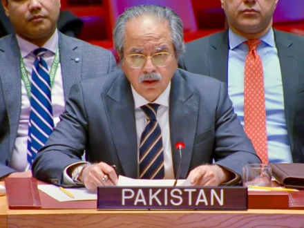 پاکستان نے مشرقی کانگو میں فوری جنگ بندی اور مؤثر سفارتکاری کا مطالبہ کر دیا