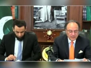 ایف آئی اے اور آئی بی شوگرملز میں خریدوفروخت کی نگرانی کررہے ہیں، وزیر خزانہ