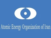 سائنسدان اور ماہرین ملک کی جوہری صنعت کو آگے بڑھانے کا عمل جاری رکھیں گے، ایران