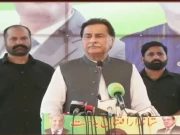 فوٹو: اسکرین گریب