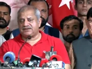 مریم نے پیکا کو کالا قانون کہا، شہباز، بلاول  2 بار ہمارے احتجاجی کیمپ میں آئے، صدر پی ایف یو جے