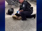 ایئرپورٹ کے ٹکٹ کاؤنٹر پر بچے کی پیدائش کا انوکھا واقعہ