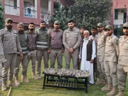 کوٹ لکھپت کے علاقے سے صحرائی چھپکلیوں کی غیر قانونی تجارت بڑی کھیپ پکڑی گئی