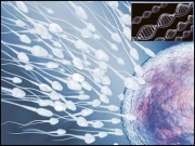 بڑی عمر میں باپ بننا بچے کی صحت کو خطرہ پہنچا سکتا ہے؟