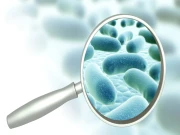 سائنس دانوں نے لیب میں بنے بیکٹیریا سے خبردار کر دیا