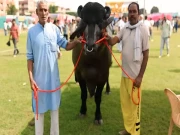 میرٹھ: کروڑوں روپے مالیت کا بیل ’ودھایک‘ لوگوں کی توجہ کا مرکز بن گیا