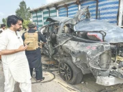  دہشت گردی کا ناسور