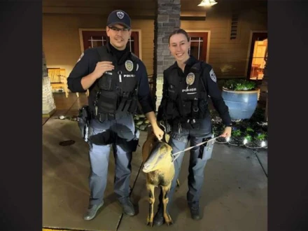 امریکا: ریٹائرمنٹ ہوم میں گھسنے کی کوشش، بکری گرفتار