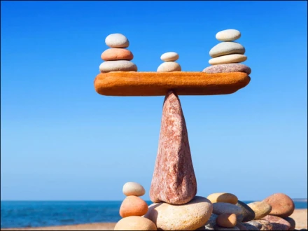 تناسب ہے زندگی