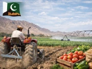 فیول کی بڑھتی قیمتوں سے متاثرہ زرعی شعبے کیلیے حکومت بلوچستان کا ریلیف پیکج متعارف