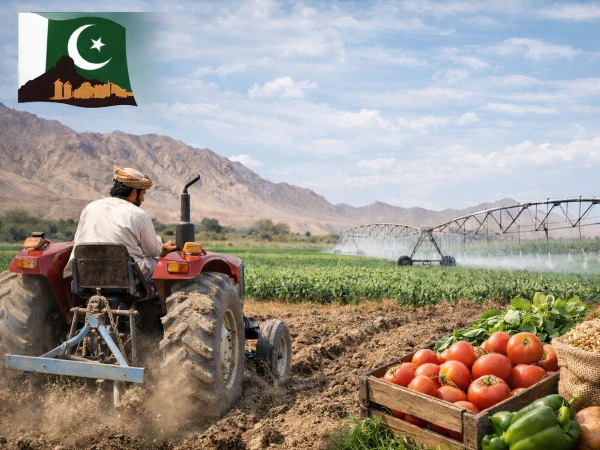 فیول کی بڑھتی قیمتوں سے متاثرہ زرعی شعبے کیلیے حکومت بلوچستان کا ریلیف پیکج متعارف