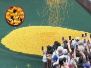 امریکا: فنڈ ریزنگ کیلئے 82 ہزار مصنوعی بطخیں دریا میں چھوڑنے سے لاکھوں ڈالر جمع