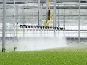 کاپوریٹو فارمنگ کے ذریعے دیہی معیشت اور غذائی تحفظ کے لیے اہم اقدامات