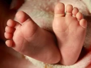 چینی کلینڈر کی نمائندگی کے لیے 12 بچوں کا خواہشمند جوڑا