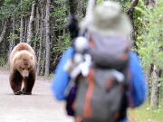 یونان؛ جنگل میں ریچھ نے کوہ پیما کو گہری کھائی میں پھینک کر ہلاک کردیا 