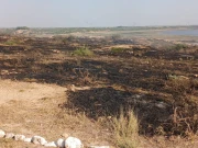 بھنبور، آتشزدگی کے واقعے میں آثار قدیمہ کا مقام خاکستر